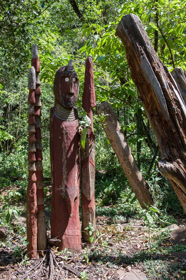 Konso - Waga's De Konso zijn vermaarde beeldhouwers en zijn vooral bekend zijn omwille van hun houten grafmonumenten die waga’s genoemd worden.  Stefan Cruysberghs